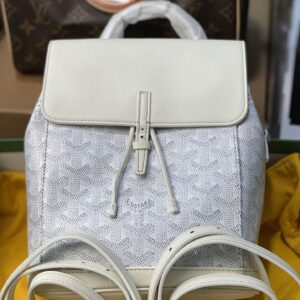 Actual delivery shot, original Pigoya backpack ✈️