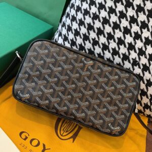 Goyard P camera bag star 23cm💕